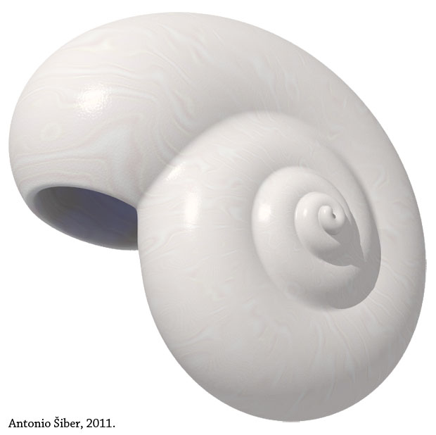 simple snail, sea shell