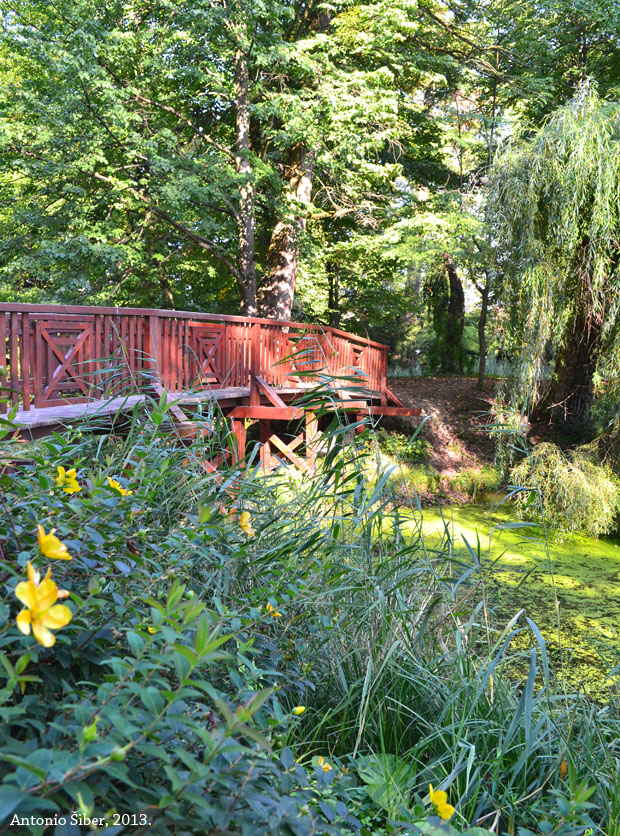 Jezerce u parku Opeka