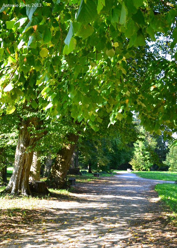 Staza u arboretumu Opeka