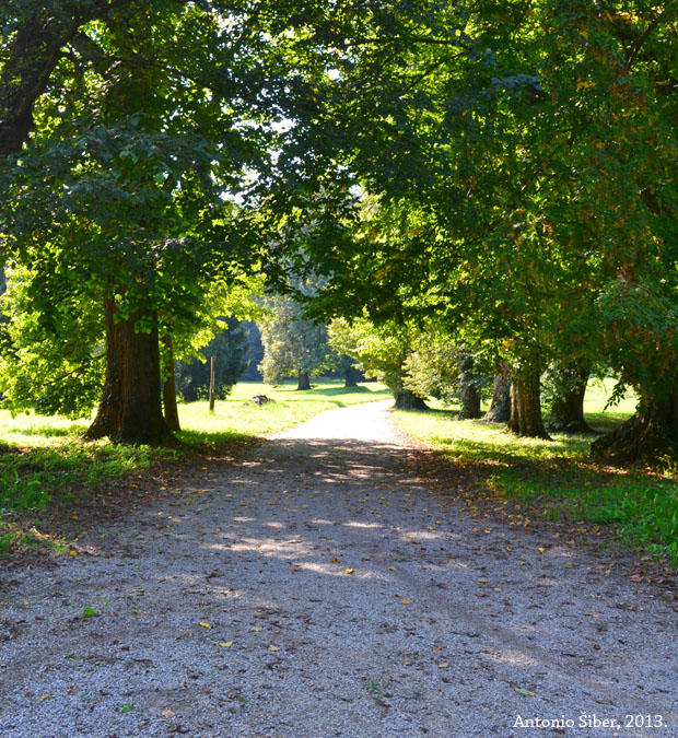 Staza u arboretumu Opeka