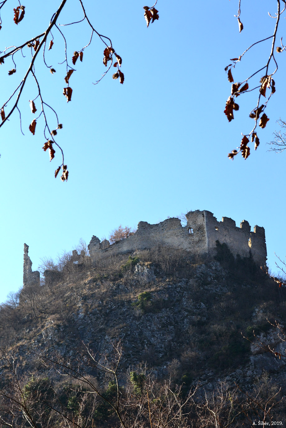 Belecgrad