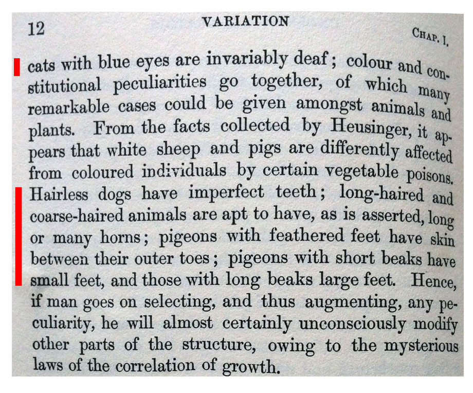 Darwin, 'Porijeklo vrsta'