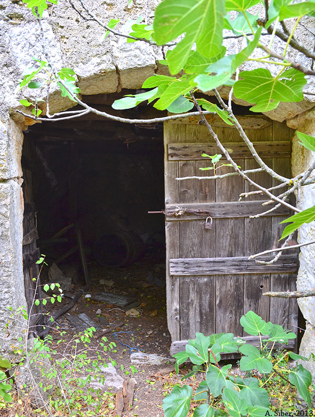 Dolovo, podrum