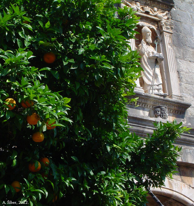 Dubrovnik, sv. Vlaho, Pile