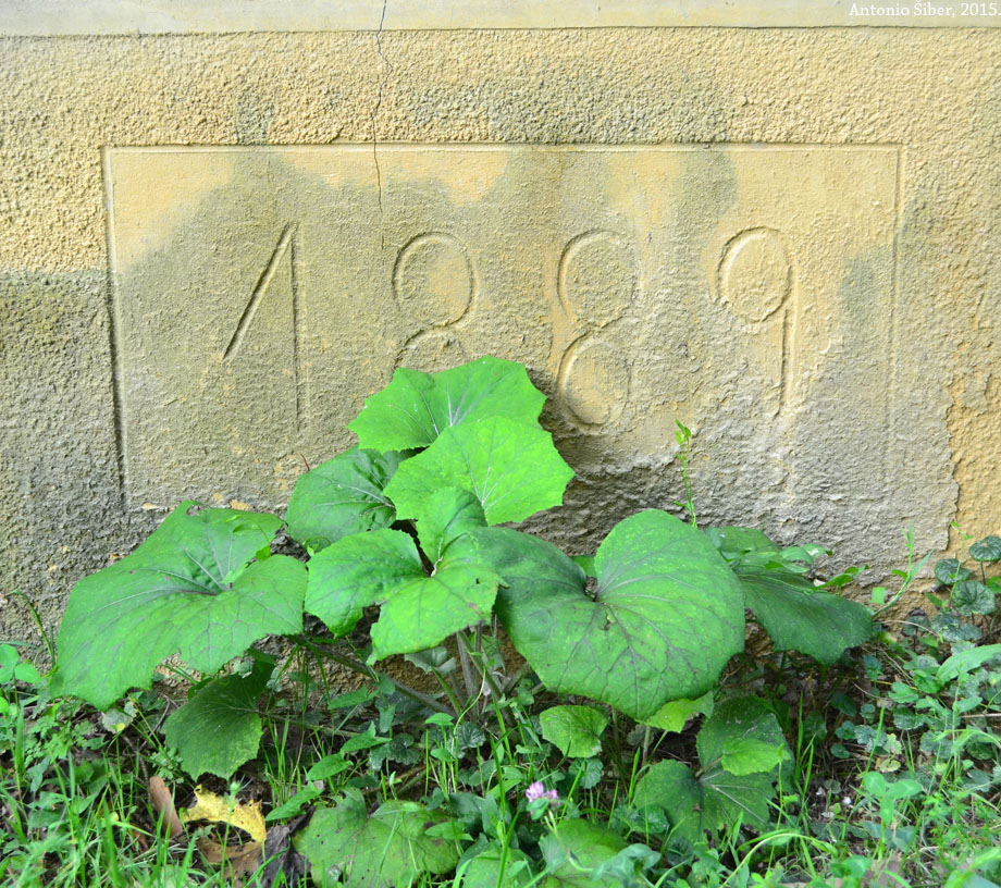 Dvorac Bračak