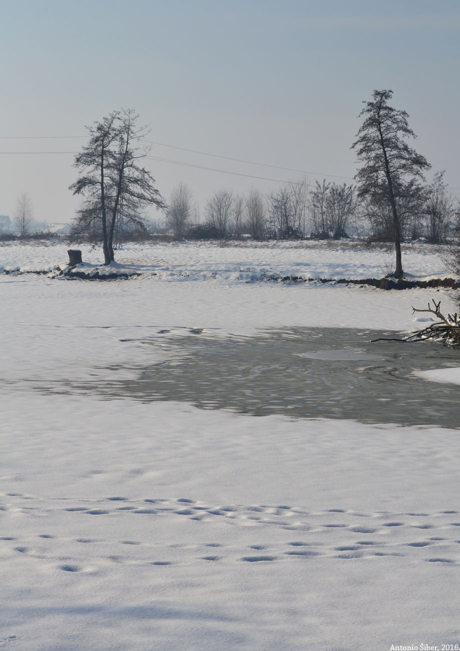 Dvorac Brezovica, jezero