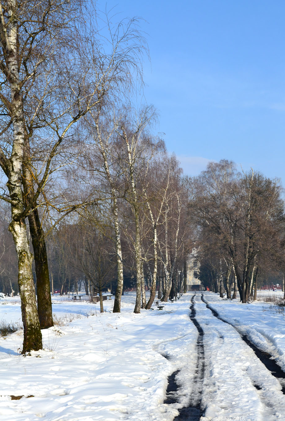 Dvorac Brezovica, staza