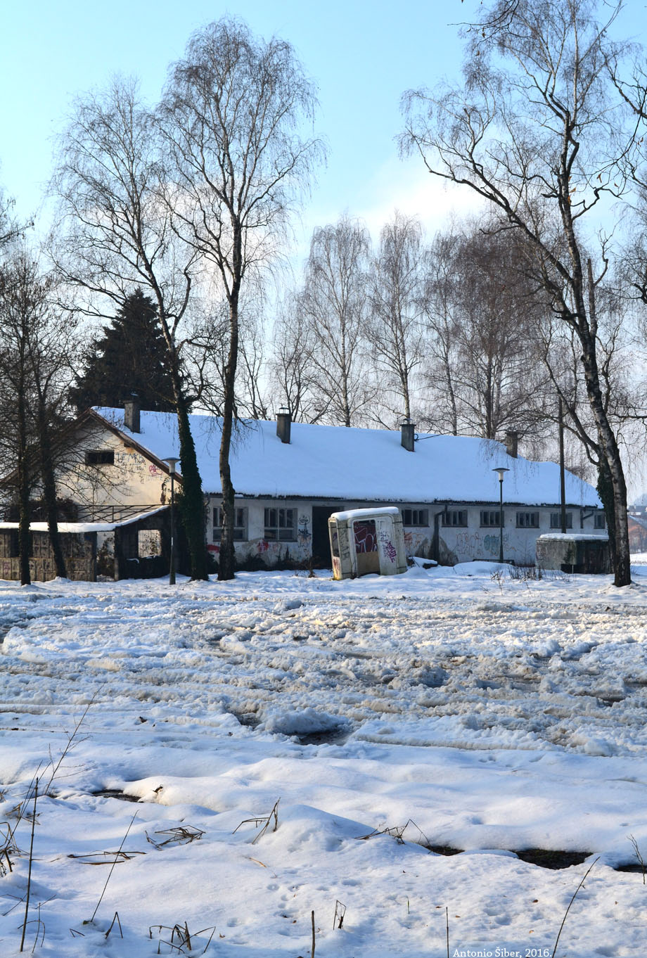 Dvorac Brezovica, objekt