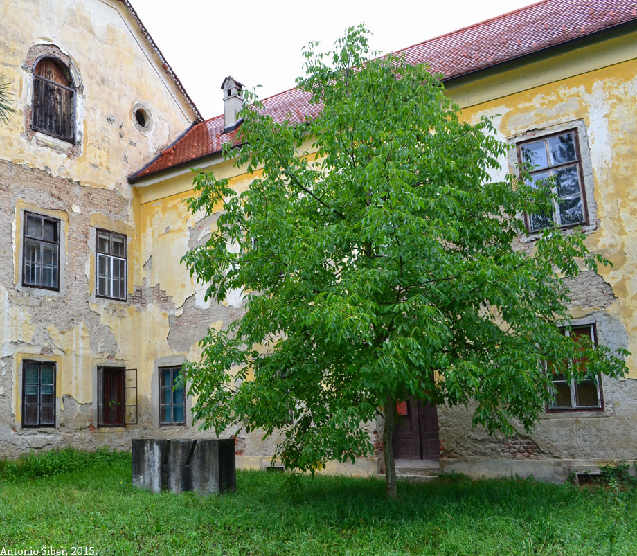 Dvorac u Jakovlju