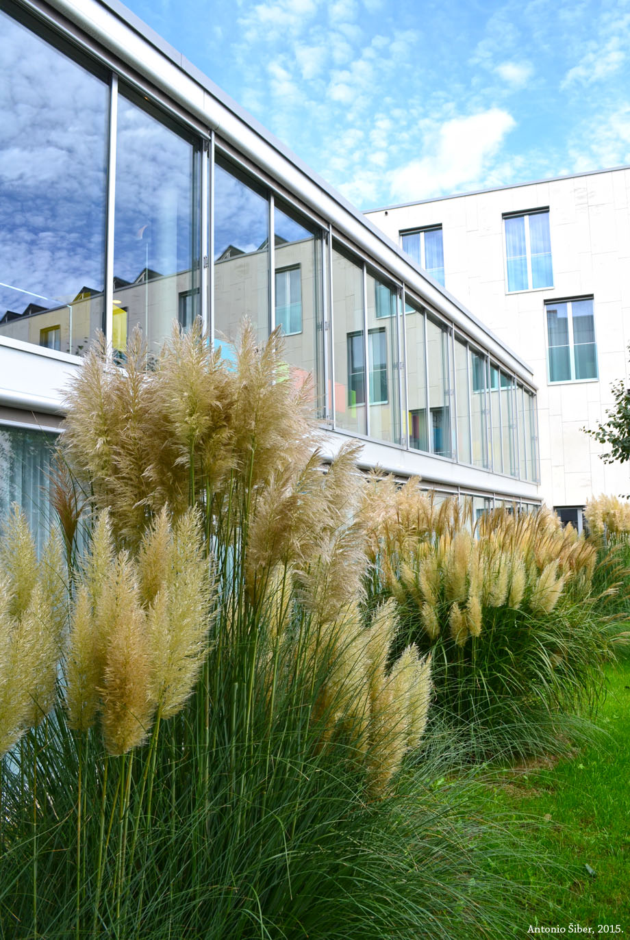 EPFL, Lausanne, hotel Starling