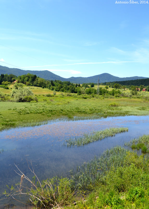 Ribnjak, Gomirje