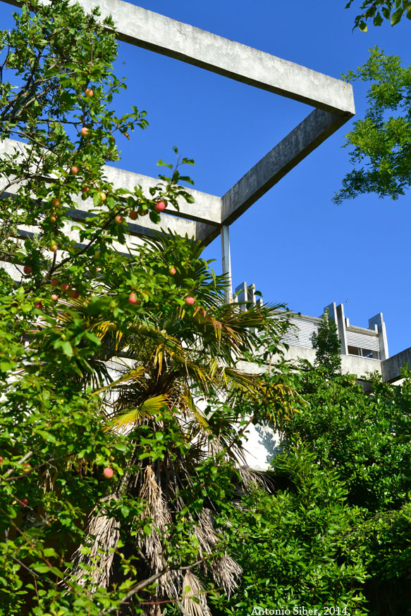 Haludovo