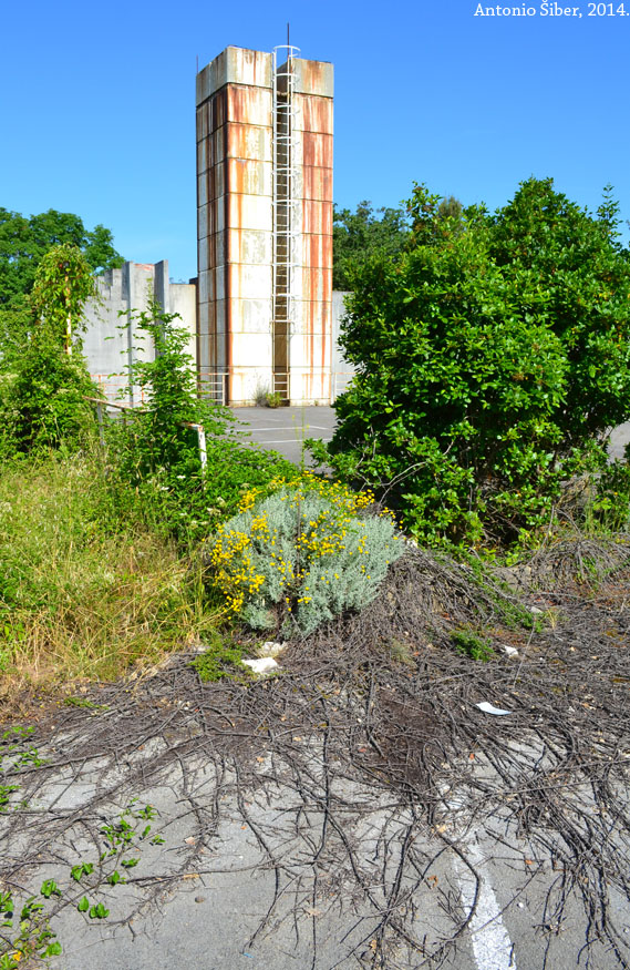 Haludovo