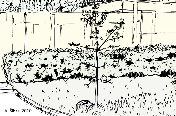 building, grass, bush