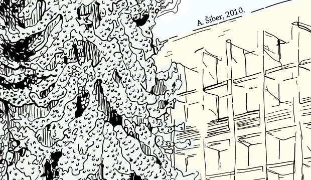 tree, windows, institute, physics