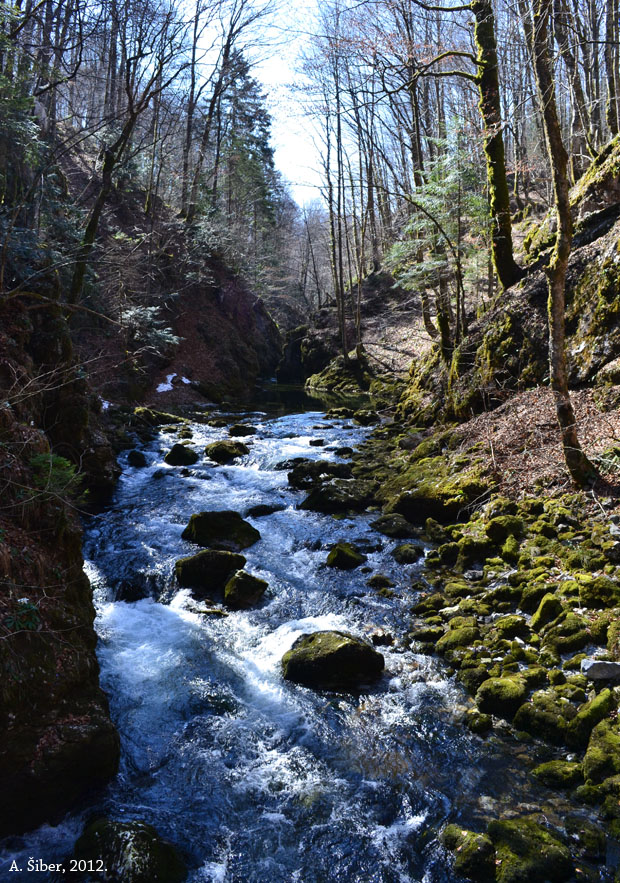 Kamačnik, kamenje u potoku, mahovina