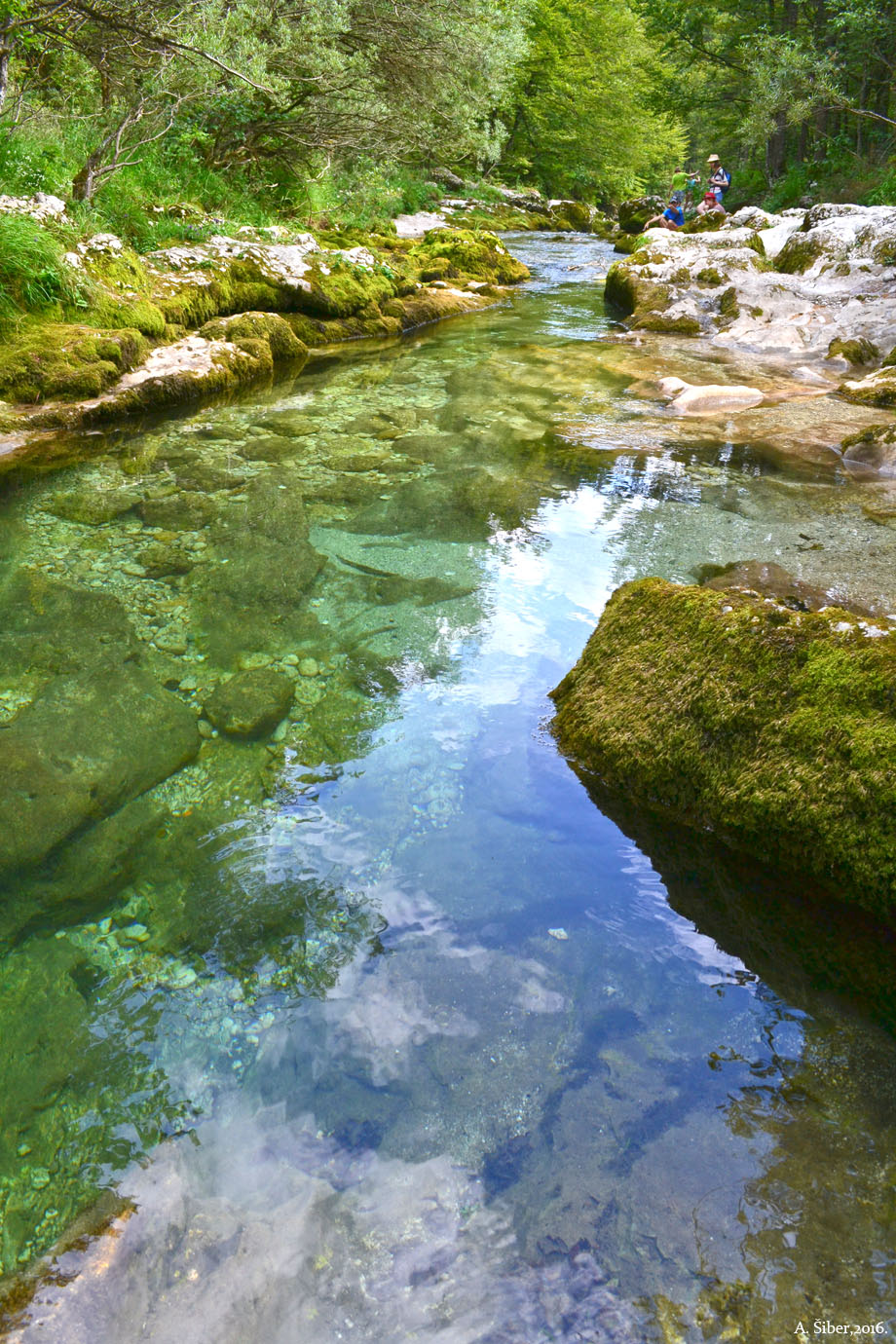 Mostnica