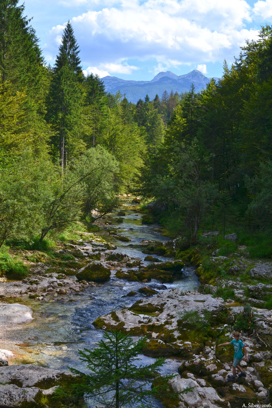 Mostnica, širina korita