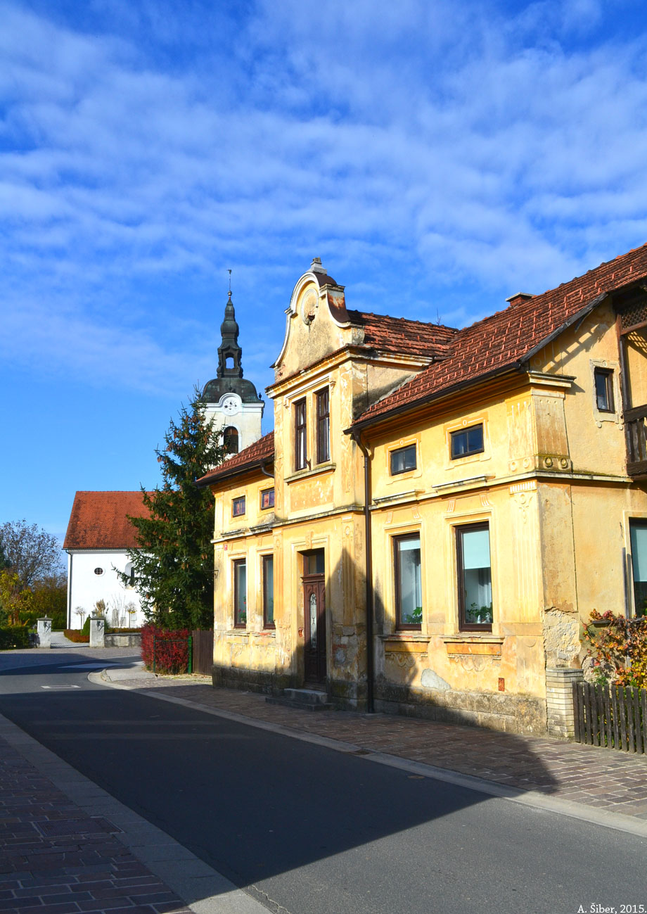 Kostanjevica, Oražnova ulica
