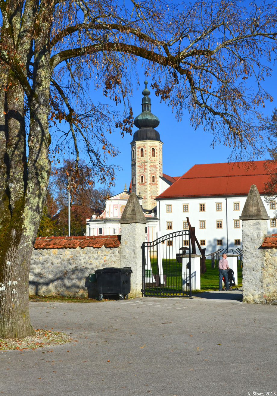 Kostanjevica, samostan