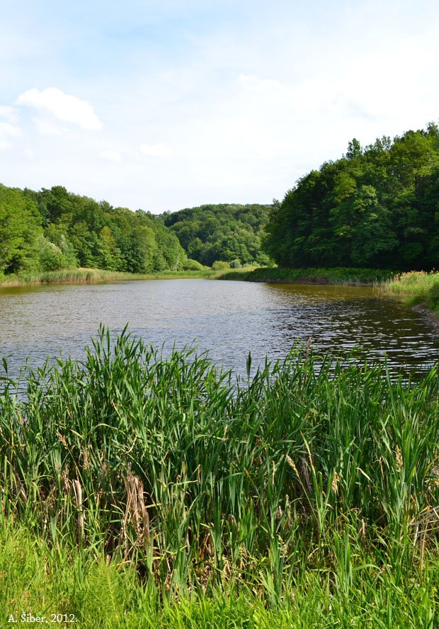 Jezero Jarki u Ivancu