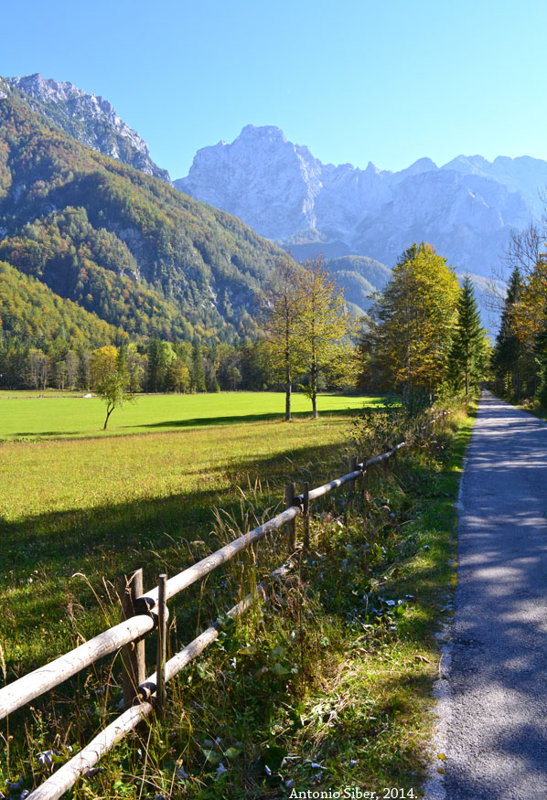 Logarska dolina, put