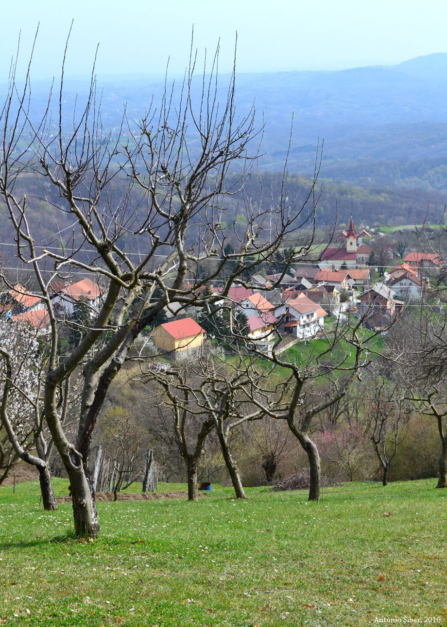 Kašt, pogled