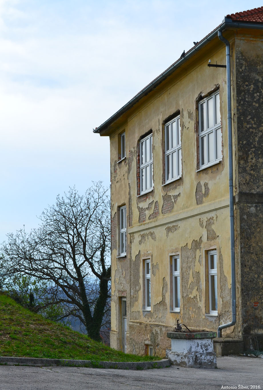 Vivodina, škola