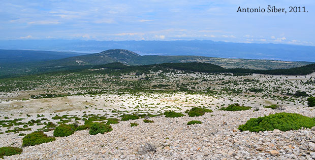 pogled unatrag