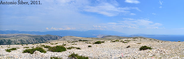 pogled s Obzove