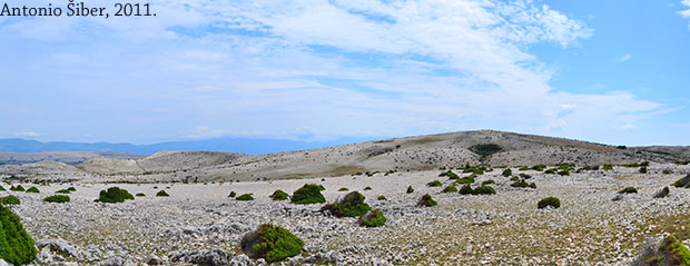 pogled na Brestovica