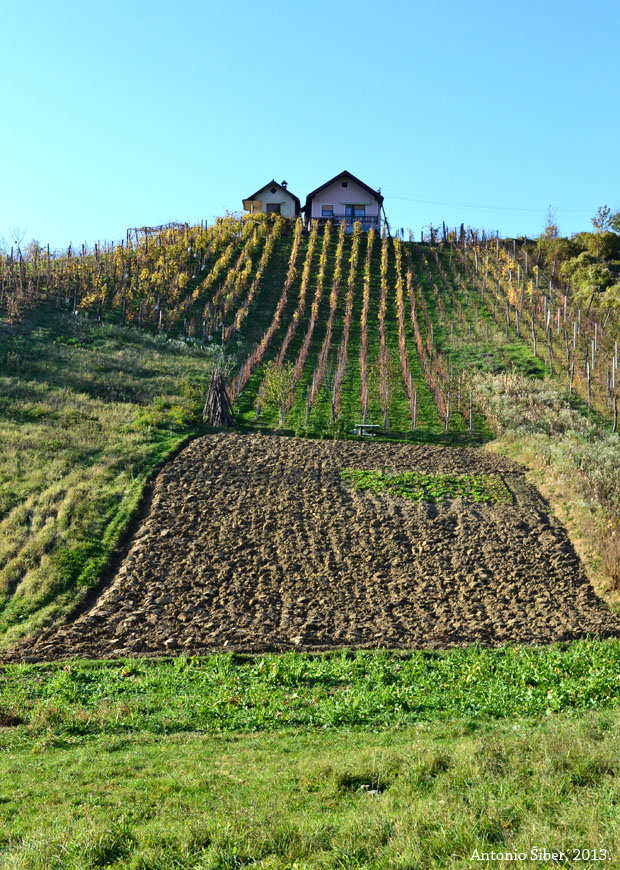Vinogradi, Gornja Voća