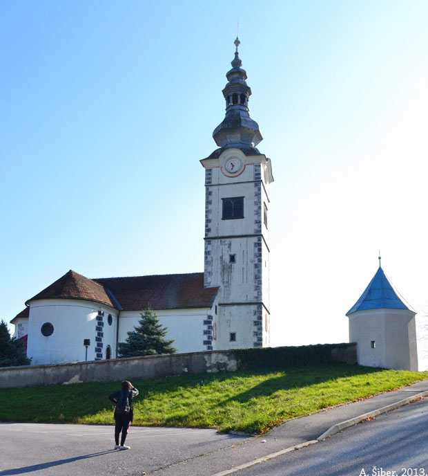 Sveti Martin u Donjoj Voći