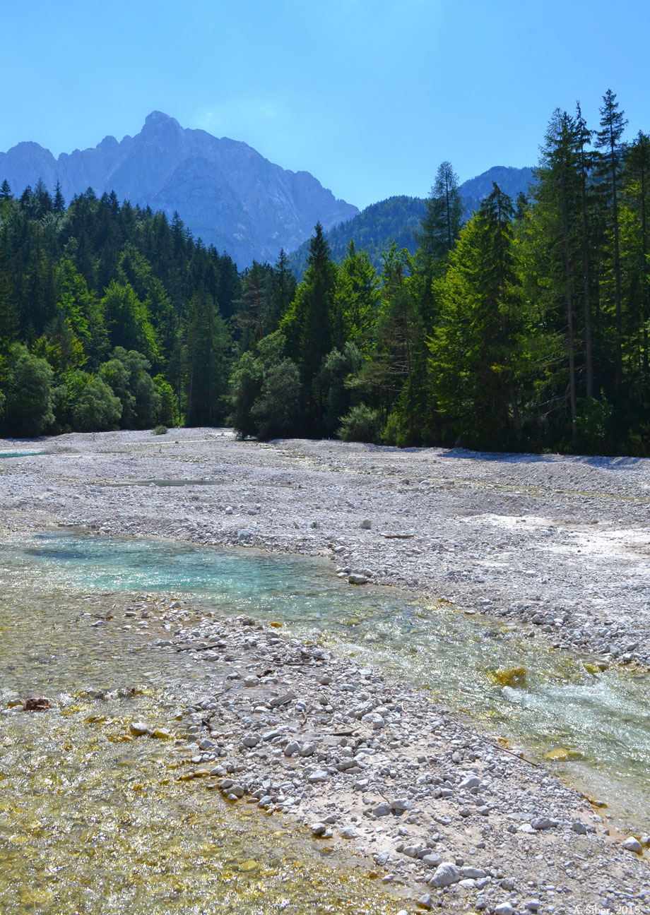Pišnica. Kranjska Gora.