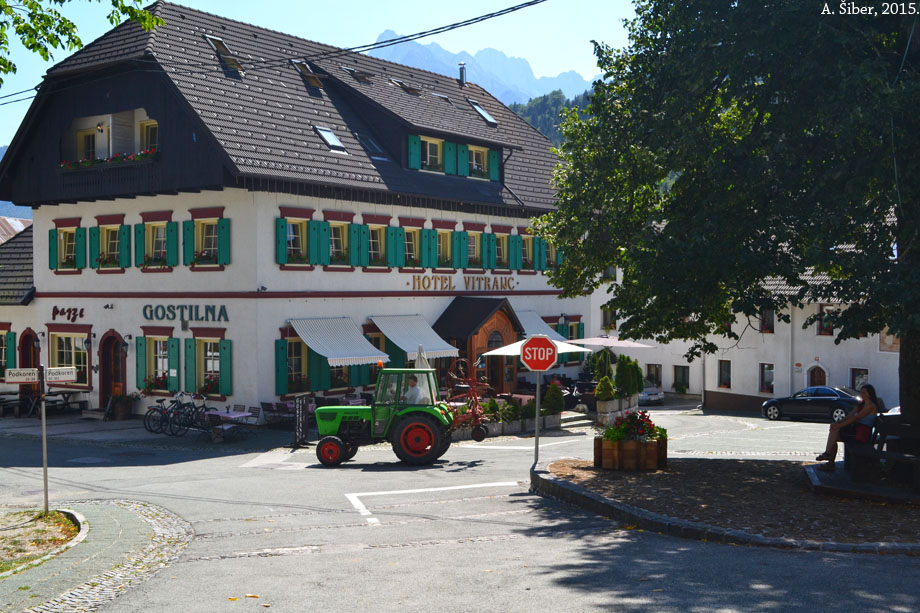 Podkoren. Lipa.