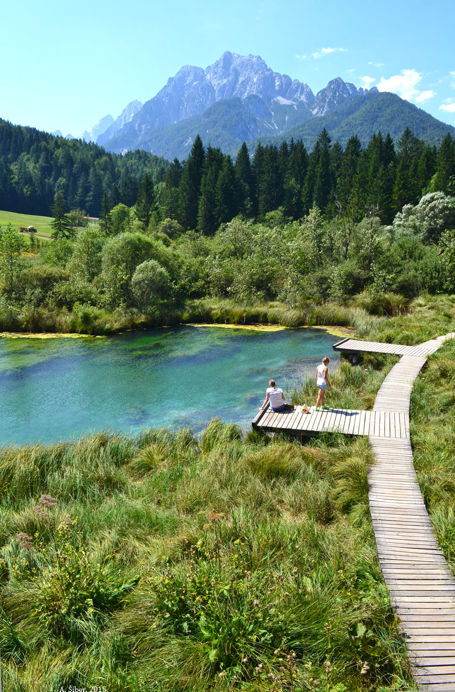 Zelenci