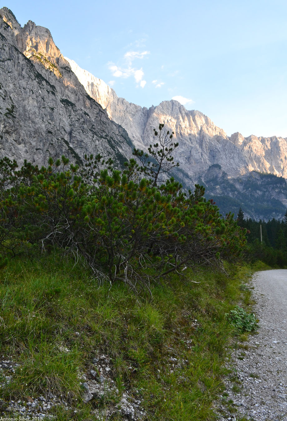 Dolina Planica.