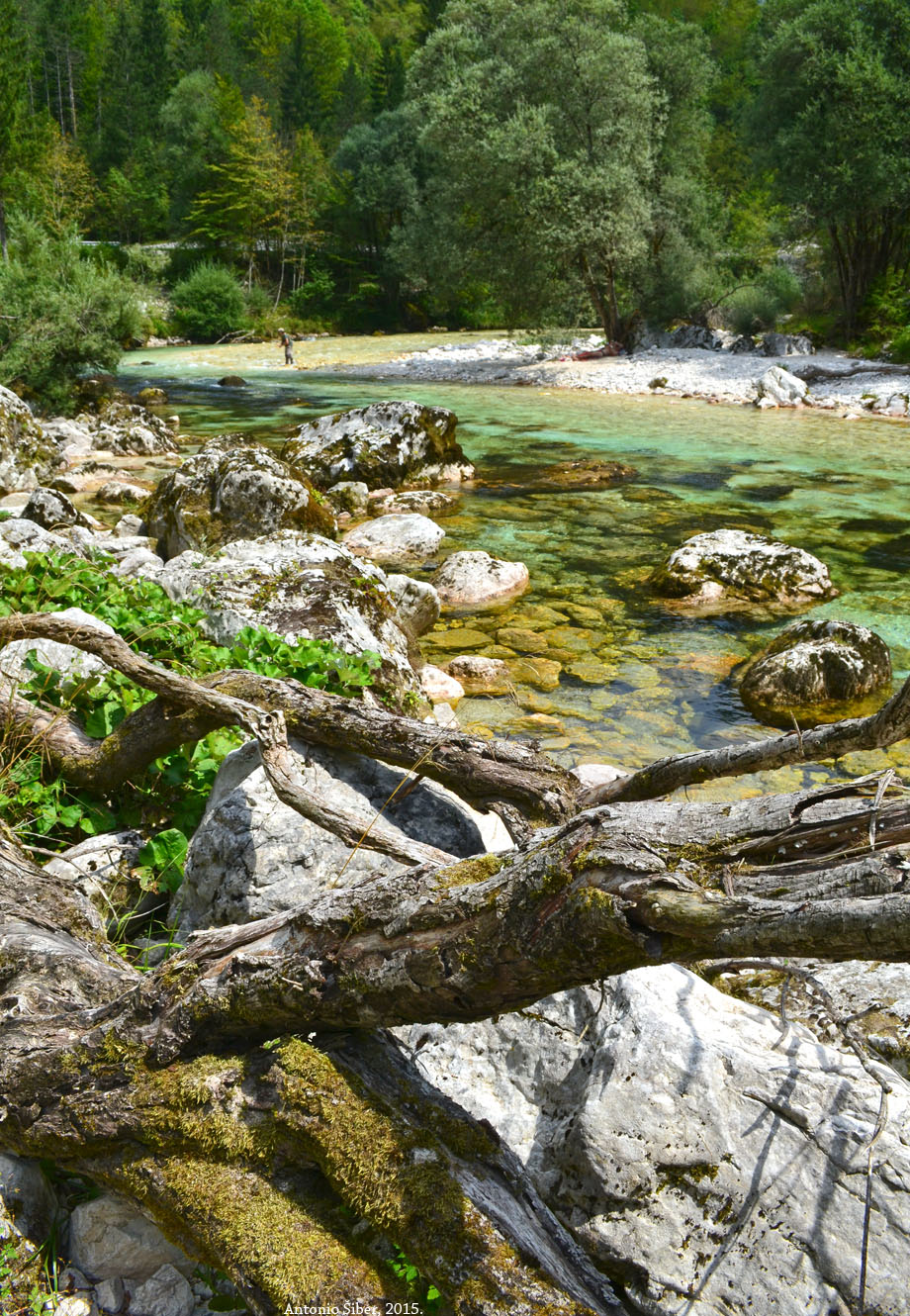 Soča