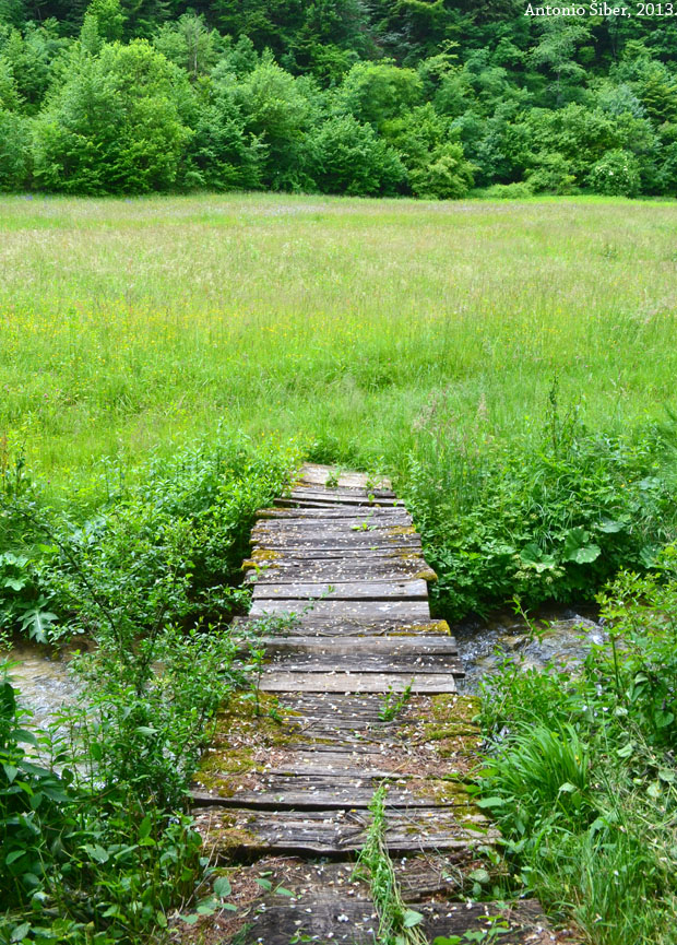 Kupičina Žumberačka 3