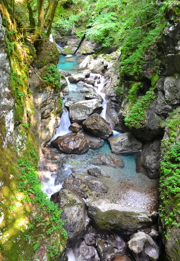 Tolminska korita