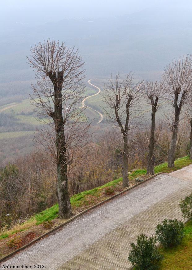 Pogled s motovunskih zidina