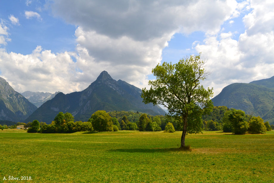 Bovec