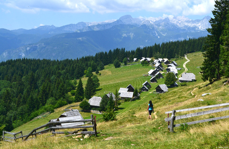 Planina Zajamniki