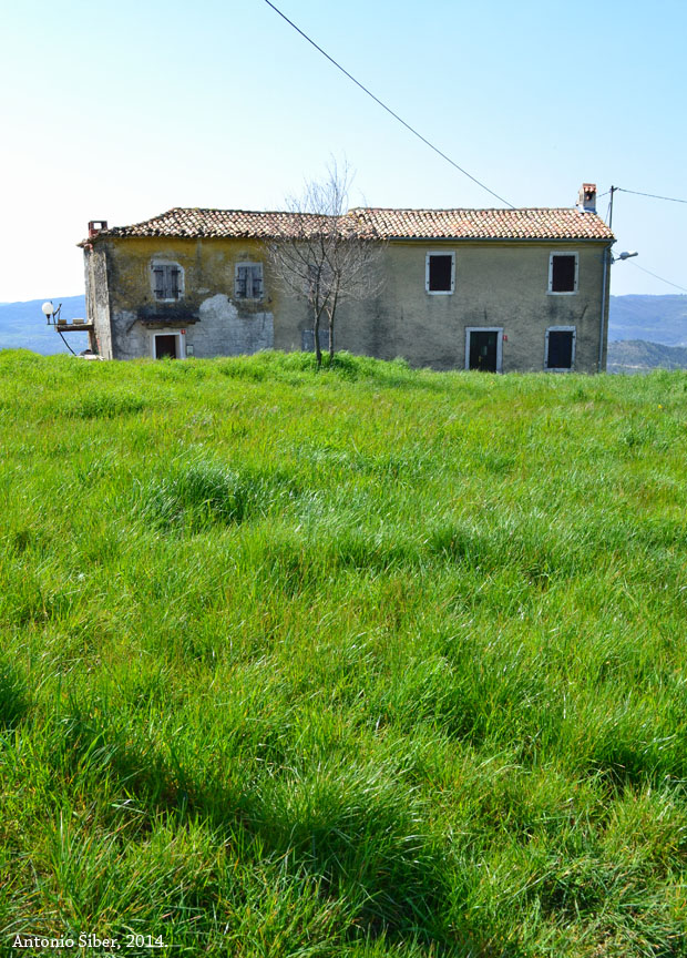 Grimalda, kuća