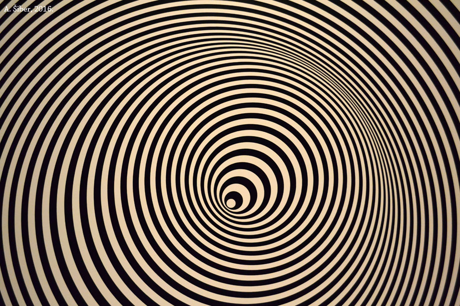 Izložba, Pokrenuto oko, MUO