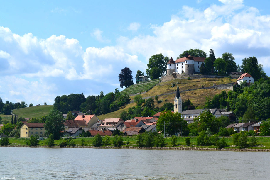 Sevnica
