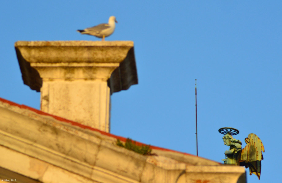 Piran