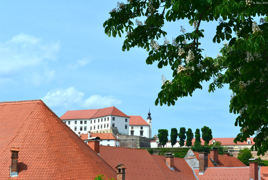 Ptuj