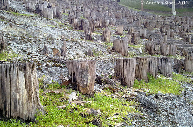 Politička škola u Kladniku / Kumrovcu