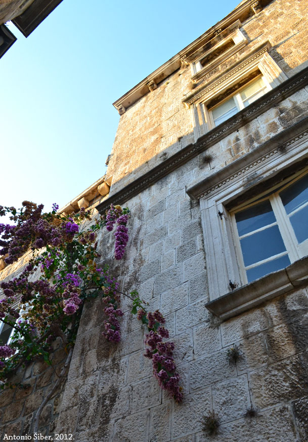 Korčula pogled gore